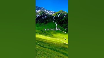 قرآن كريم القارئ شريف مصطفى من سورة (مريم)