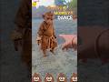 Cute Monkey Dance Goes Viral 😂🐒 | Funniest Monkey Ever#monkeydance #funnyshorts #cutemonkey #monkey