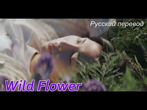 RM Намджун (BTS) - Wild Flower / "Полевой цветок..." РУССКИЙ перевод