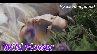 RM Намджун (BTS) - Wild Flower / "Полевой цветок..." РУССКИЙ перевод