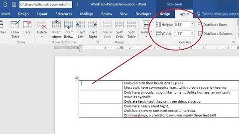 How to use table tools in Ms Word, how to use layout in Ms Word | Part 2