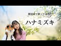 【腹話術で歌ってみた】ハナミズキ