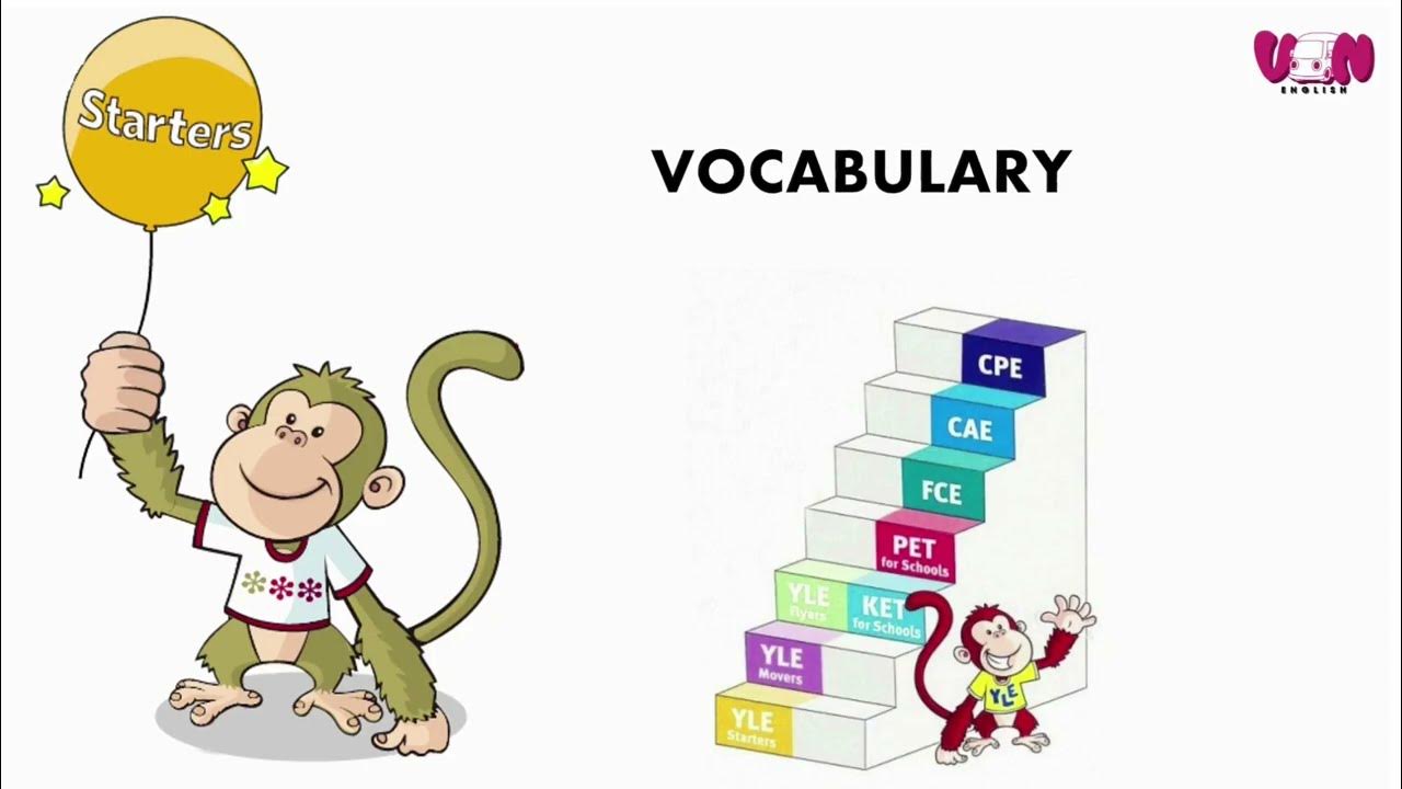 The body and face Cambridge starters Word List (Từ Vựng tiếng anh Theo