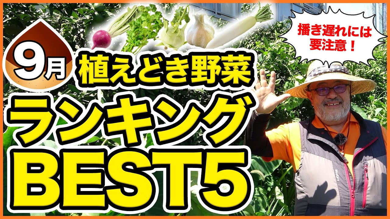 9月家庭菜園植えどき野菜ランキングベスト5 秋冬野菜栽培で大人気のニンニク 大根 コカブが登場 秋冬野菜に向けて徹底解説 農園ライフ Youtube 9月家庭菜園植えどき野菜ランキングベスト5 秋冬野菜栽培で大人気のニンニク 大根 コカブが登場 秋冬野菜に向けて徹底解説 農園ライフ Youtube