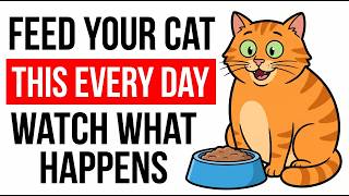 What Happens to Your Cat's Body When You Feed Them Wet Food Every Day 🐾