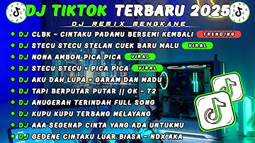 DJ TIKTOK TERBARU 2025 || DJ CLBK - CINTAKU PADAMU BERSEMI KEMBALI 🎵 DJ STECU STECU STELAN CUEK 🎵