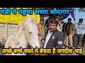 आ गया जगदीश भाई सबसे सस्ते बच्चे लेकर मुक्तसर मंडी मे || Muktsar Horse Market