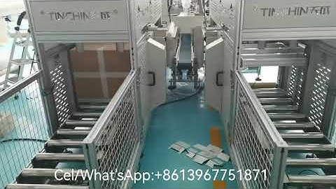 Fully-automatic paper cup bagger and case loader to Spain