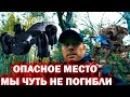 Мы чуть в этом проклятом лесу не погибли вот что мы нашли