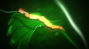 PROBABLY MY LAST BLOB INTRO SO PLEASE LIKE, COMMENT AND SUBSCRIBE | MORE BLOB VIDEOS COMING SOON!!!