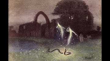 Seminar XXI -- Chapters 10-12 -- Analytic Will-o