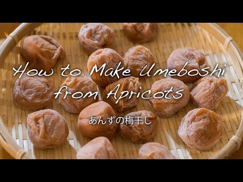 How to Make Apricot Umeboshi