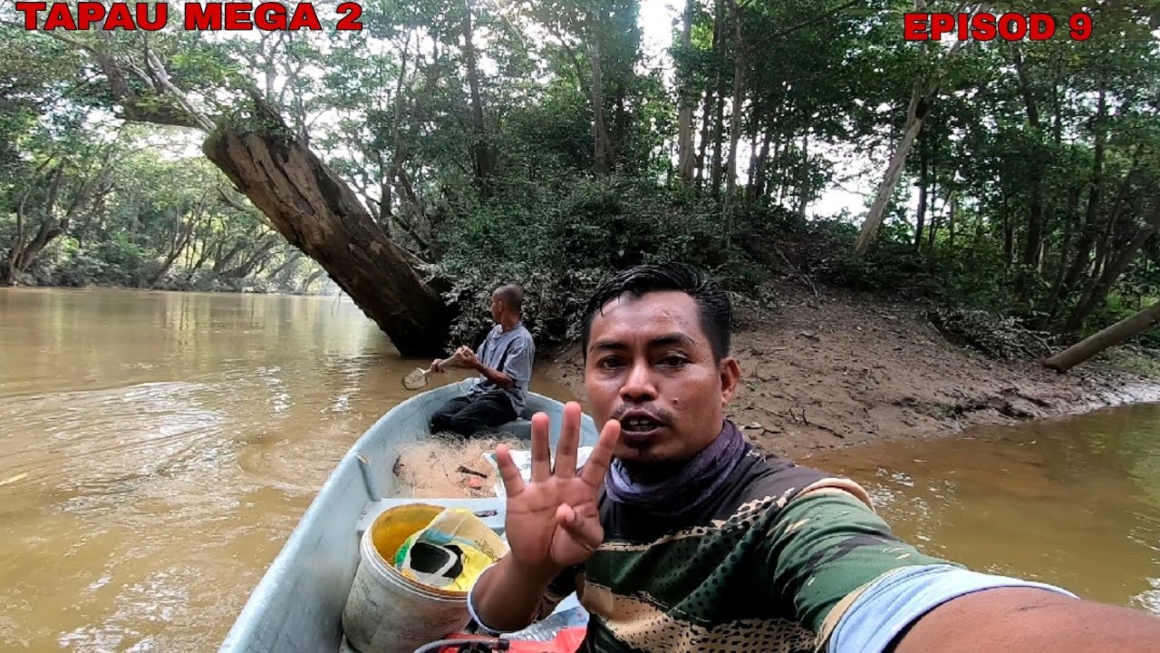 cari umpan tajur dan tahan tajur ikan baung ep, 09