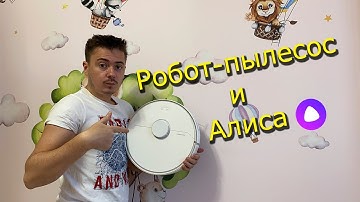 Roborock s6 Pure и Алиса - обзор владельца // Будущее наступило - Умный Дом