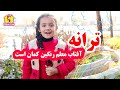 ترانه آفتاب معلم رنگین کمان است