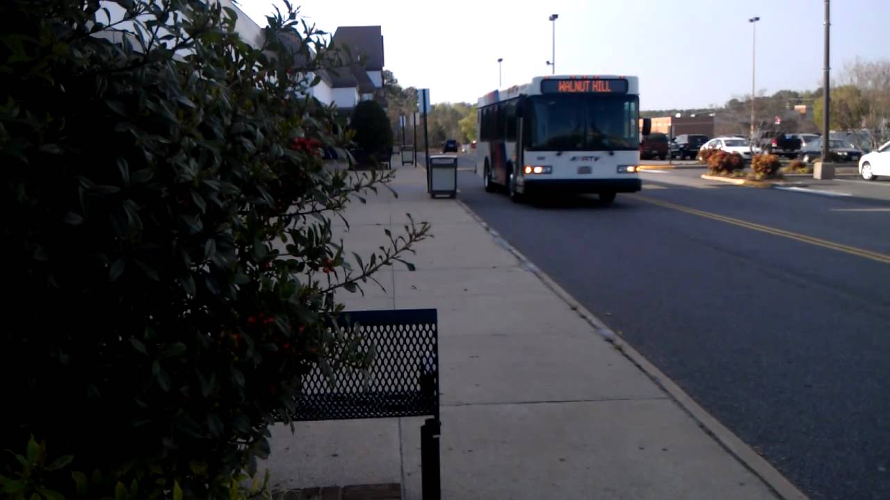 Petersburg Area Transit Gillig Low Floor YouTube