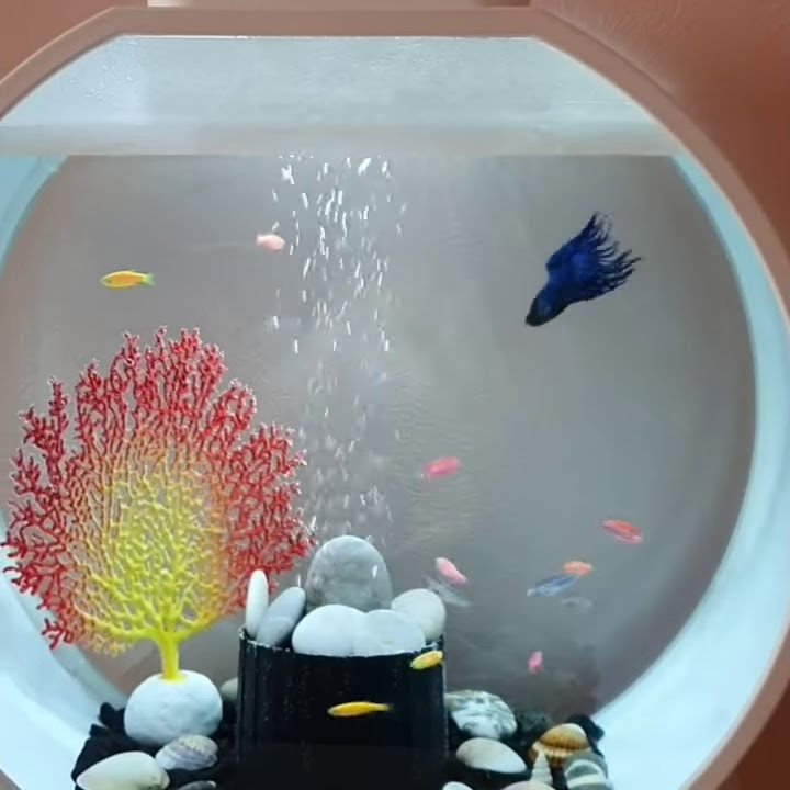 Аквариум Deco O 20л - YouTube