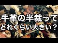 成牛の牛革って１枚（半裁）だとどれくらいの大きさになるか？【レザー】