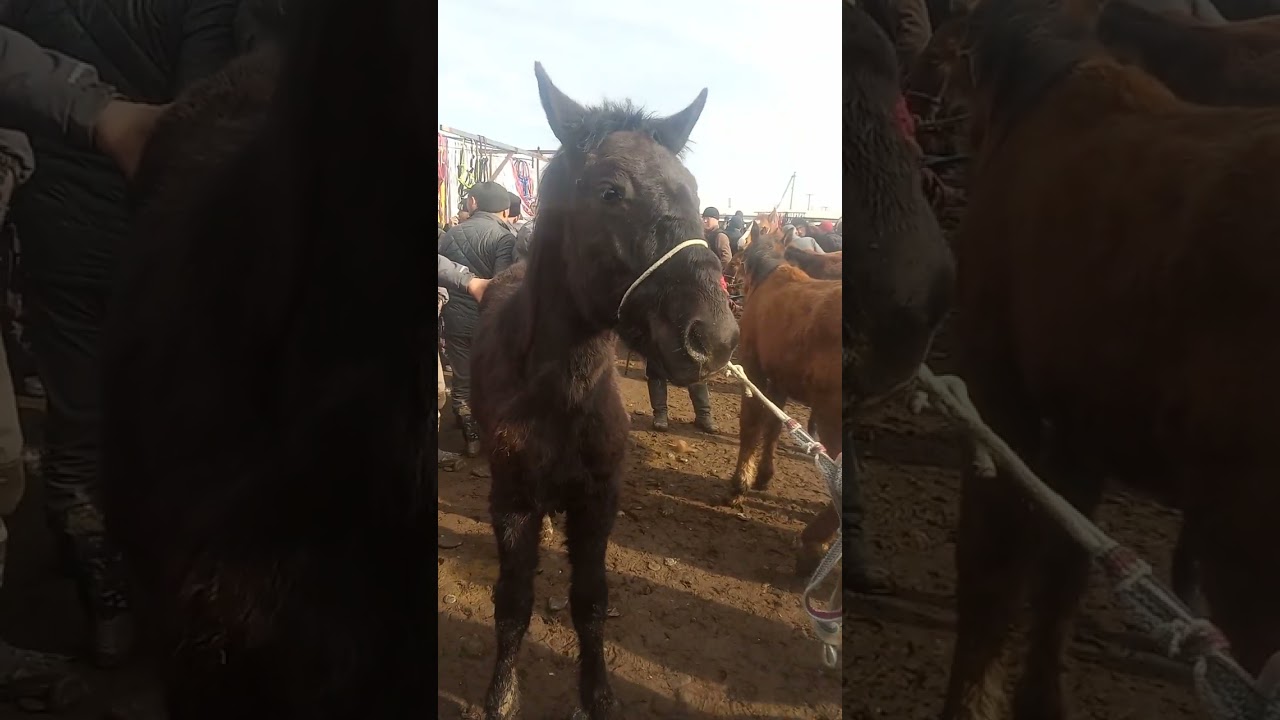 7 марта 2026 г.