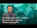 На сбор подписей осталось меньше двух недель, Годзилла на кубе, Подготовка к выборам