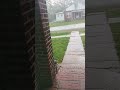 ah yes spring