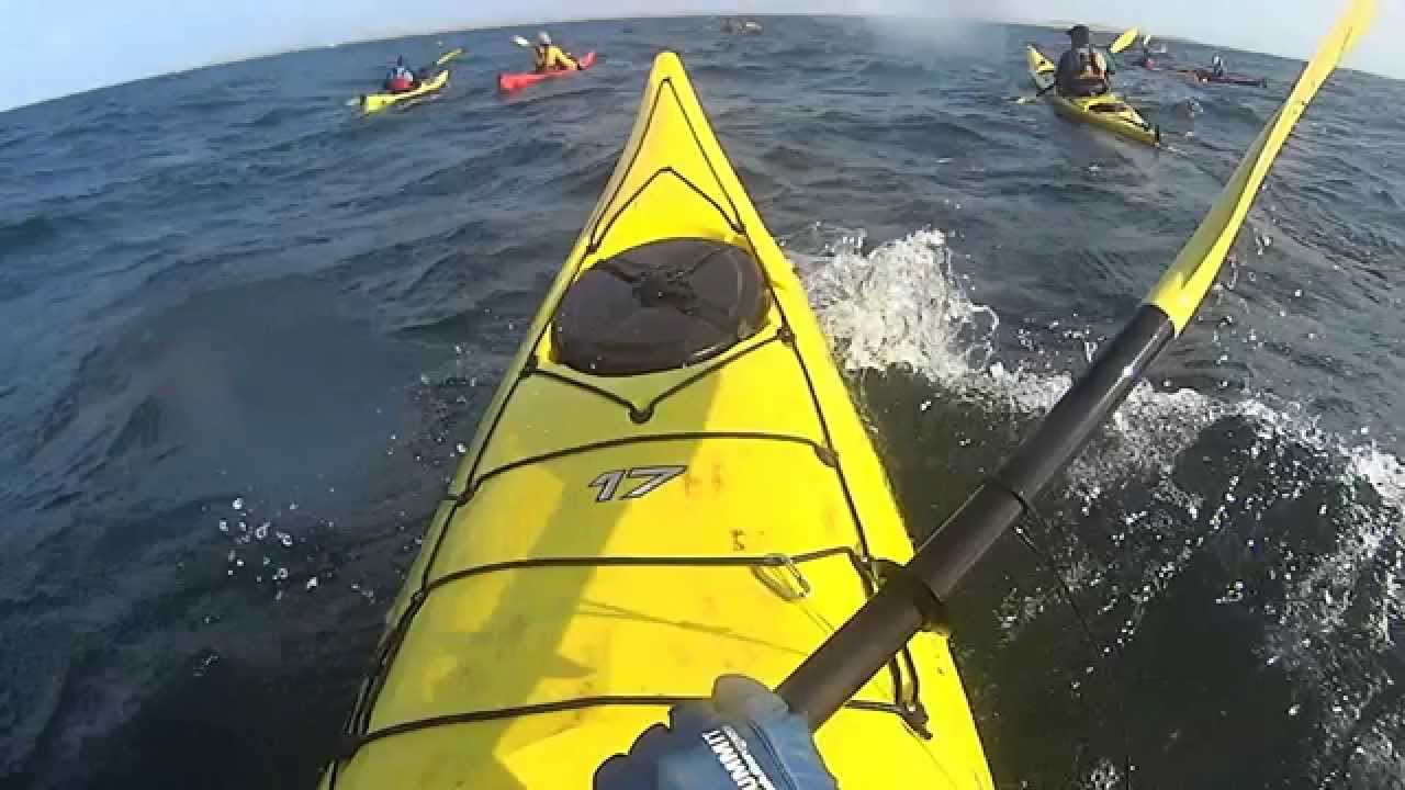 2015 CHACOPATA  MARGARITA