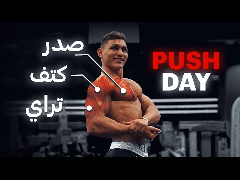 يوم دفع كامل Push Day اقوى نظام تمرين 
