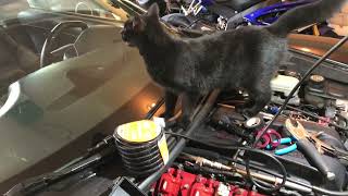 C6 Corvette overheating, radiator fan broken (melted plug) and fix