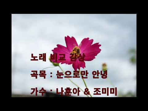 "눈으로 만 안녕" 나훈아 & 조미미