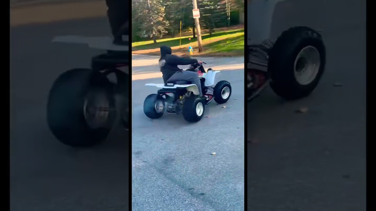 350 Banshee Street Donut