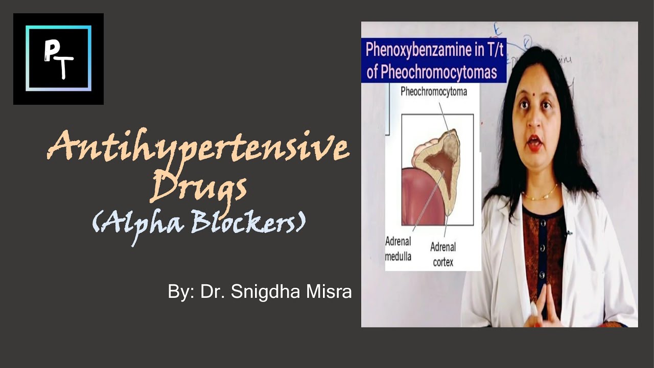 Antihypertensive Drugs I Alpha Blockers: Prazosin Terazosin Tamsulosin ...