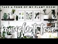 Office Houseplant Tour! Check out my Plant Room!
