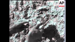 DINOSAURS EGGS DISCOVERED