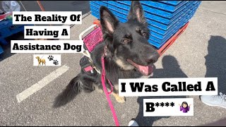 What It Is Really Like Out With My Assistance Dog || Vlog