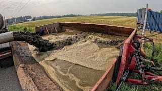 FERTILIZING Alphalfa Naturally!