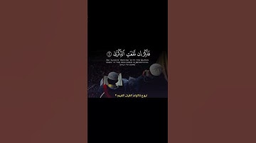 تلاوة حجازية جميلة