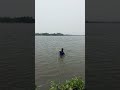 #নদীতে #বড় #fish