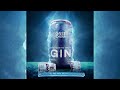 NÃO PAREI DE TOMAR GIN - MC RIQUINHO , MC WIK, MC MURUILO RP E DJ V7