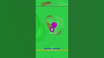 Its Game Over: My Indie Dev Journey #gamedev