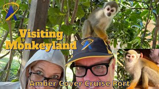 Monkeyland Excursion at Amber Cove Cruise Port Profile
