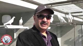 A Healthy Discussion Regarding Pigeons Cages with Sheikh Husnain Haider