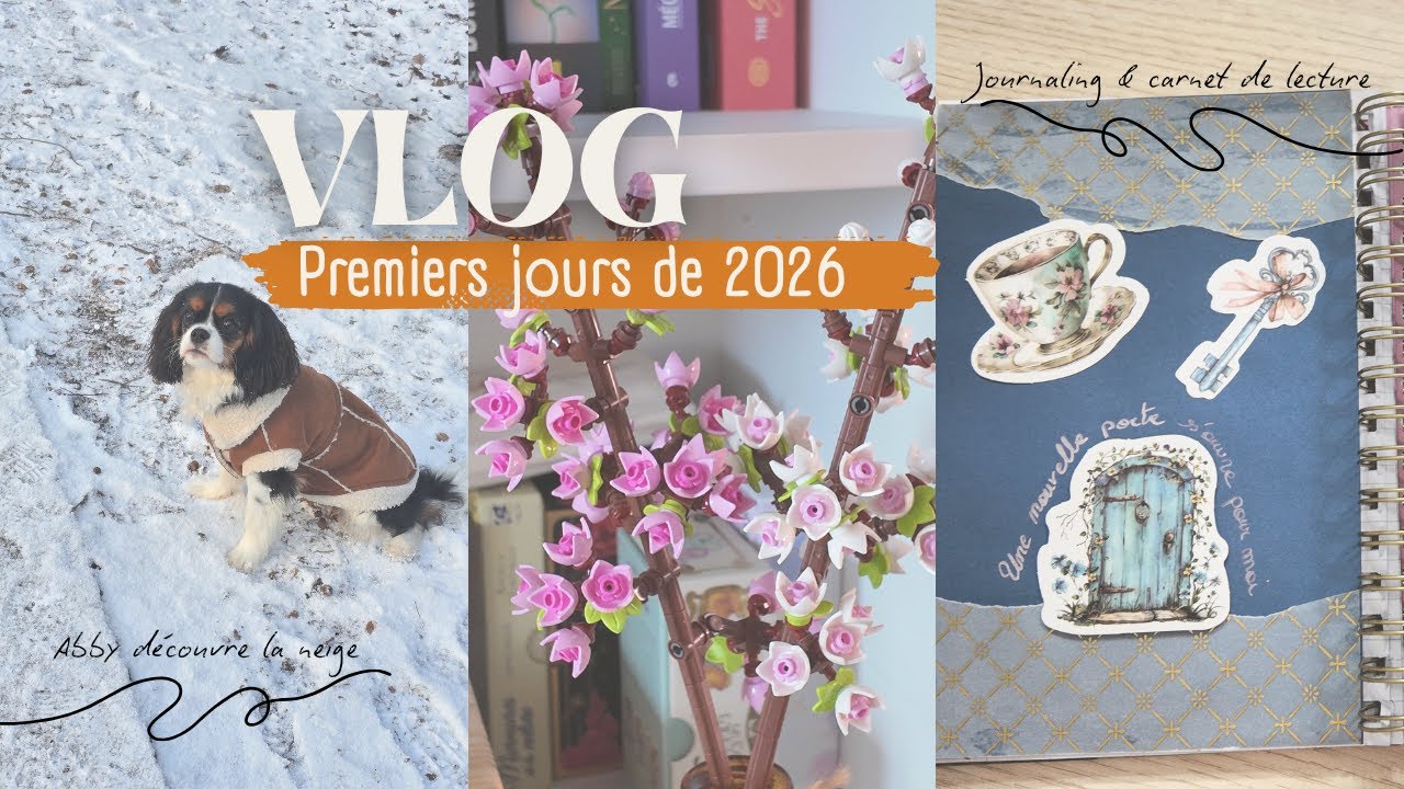 Premiers jours de 2026 | Notre chiot découvre la neige, journaling, balade & moments cosy || VLOG