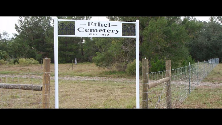 Ethel Springs Photo 4