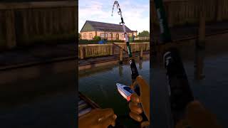 Fishing Planet Blue Crab Island Unique Tarpon #fishingplanet #gaming #fishing #ps4