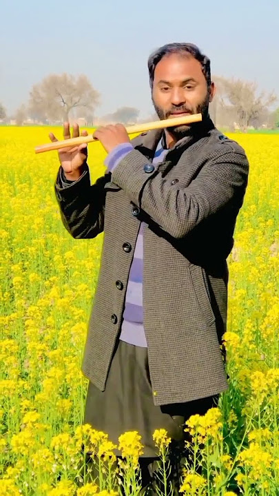 Tujhe dekha to ye Jana sanam #alirazaflutist