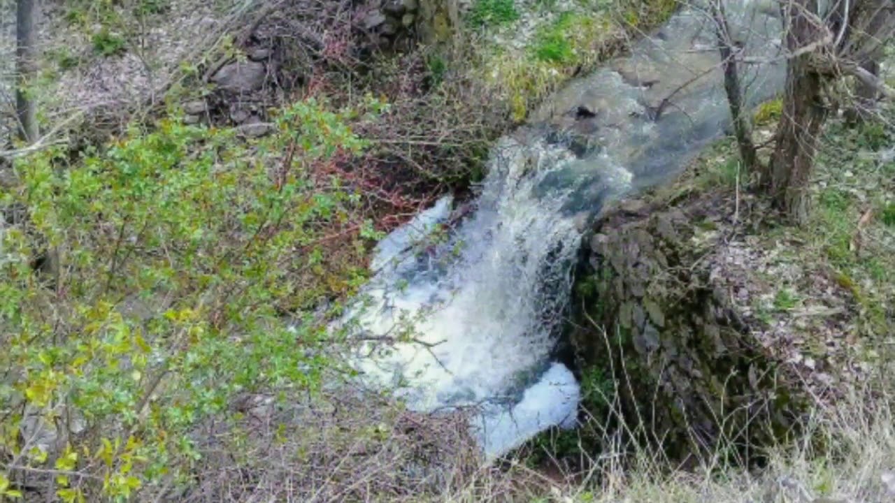 Kuzbağı Köyünde İlkbahar 05/2019