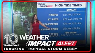 County-by-county impacts of Tropical Storm Debby across Tampa Bay