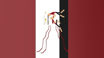 black flash animation #animation #sticknodes #randomupload