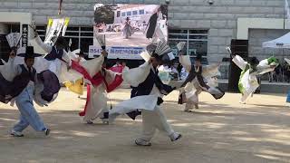 동래한량춤 제54회 부산 동래민속예술축제 동래한량춤 제54회 부산 동래민속예술축제