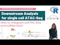 Comprehensive Guide to Downstream Analysis for Single-Cell ATAC-Seq in R | scATAC-Seq Workflow